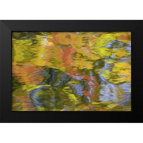 Quebec, Canada Autumn reflects on water patterns Black Modern Wood Framed Art Print by Delisle, Gilles