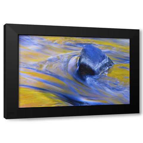 Canada, Quebec Fall colors reflecting on a river Black Modern Wood Framed Art Print with Double Matting by Delisle, Gilles