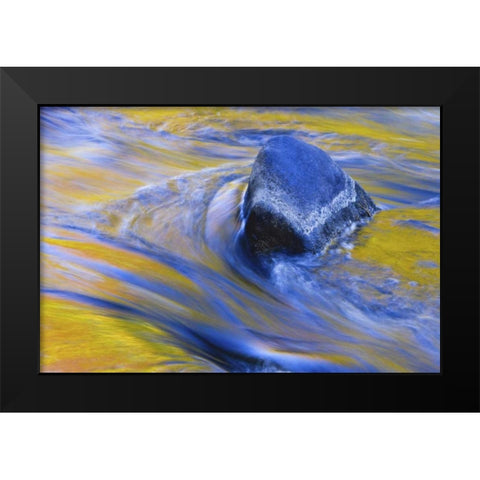 Canada, Quebec Fall colors reflecting on a river Black Modern Wood Framed Art Print by Delisle, Gilles