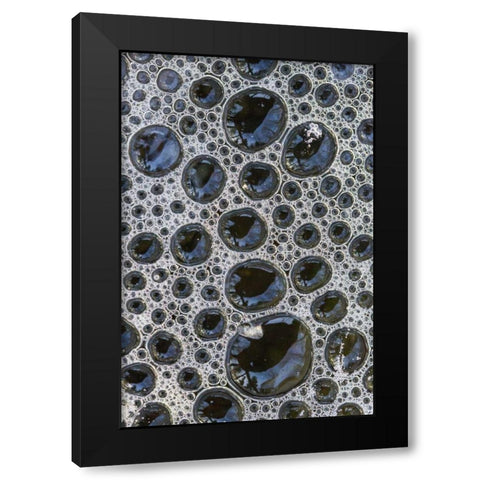 Canada, Quebec Foam caught under ice Black Modern Wood Framed Art Print with Double Matting by Delisle, Gilles