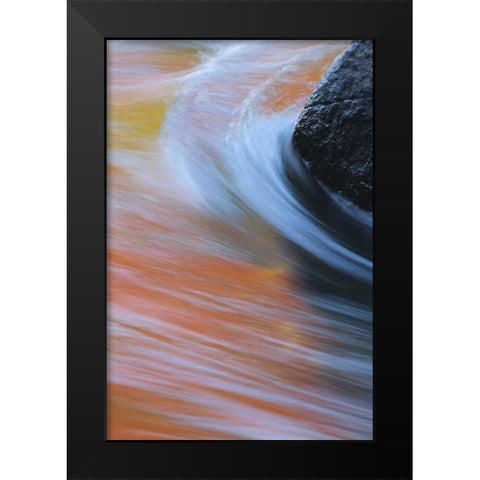 Canada, Quebec Autumn along Riviere du Nord Black Modern Wood Framed Art Print by Delisle, Gilles