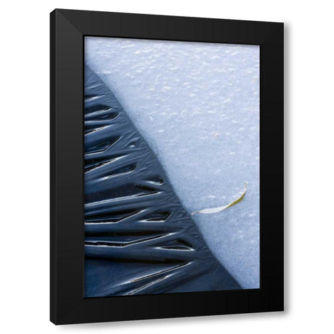 Canada, Quebec, Lakeshore ice Black Modern Wood Framed Art Print with Double Matting by Delisle, Gilles