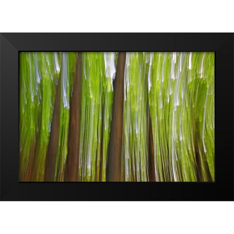 Canada, Quebec Maple grove abstract at sunset Black Modern Wood Framed Art Print by Delisle, Gilles