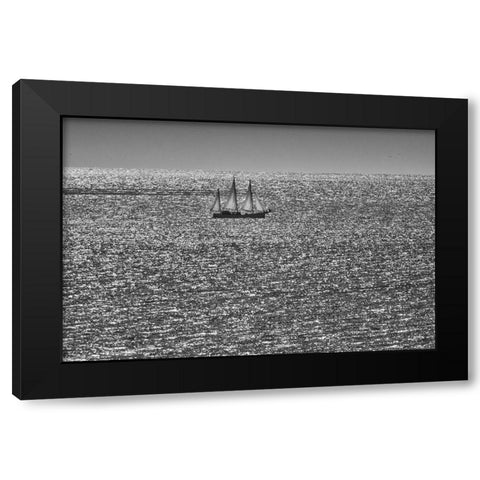 Canada-Quebec-LAnse-Pleureuse Sailboat on Gulf of St Lawrence Black Modern Wood Framed Art Print by Jaynes Gallery