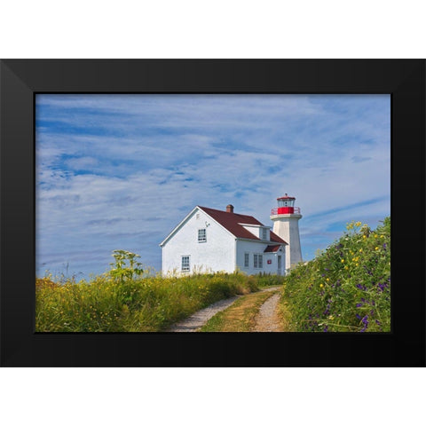 Canada-Quebec-Mingan Archipelago National Park Reserve Lighthouse on I^le aux Perroquets Black Modern Wood Framed Art Print by Jaynes Gallery