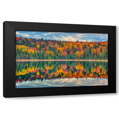 Canada-Quebec-La Mauricie National Park Autumn colors reflected in Lac Modene Black Modern Wood Framed Art Print by Jaynes Gallery