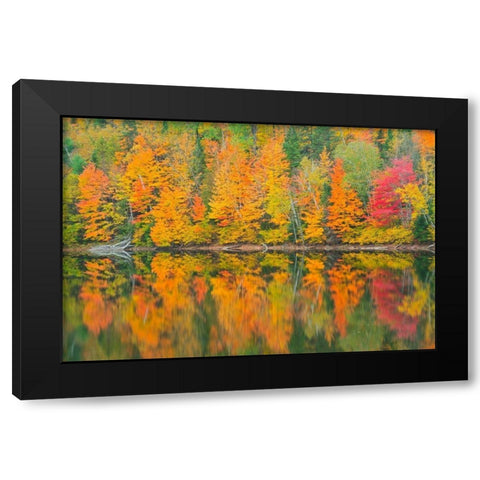 Canada-Quebec-Saint-Mathieu-du-Parc Autumn colors reflected in Lac Trudel Black Modern Wood Framed Art Print with Double Matting by Jaynes Gallery