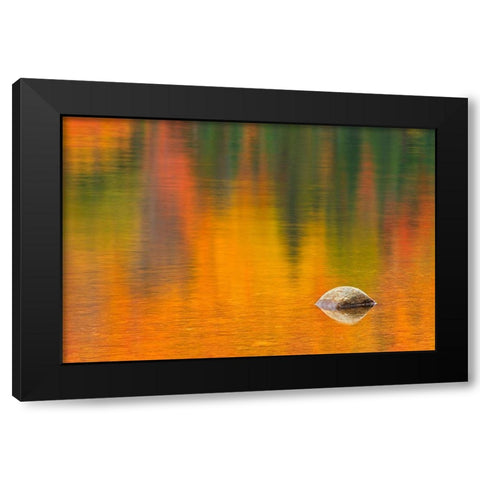 Canada-Quebec-La Mauricie National Park Rock and autumn colors reflected in Lac Wapizagonke Black Modern Wood Framed Art Print with Double Matting by Jaynes Gallery