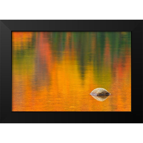 Canada-Quebec-La Mauricie National Park Rock and autumn colors reflected in Lac Wapizagonke Black Modern Wood Framed Art Print by Jaynes Gallery
