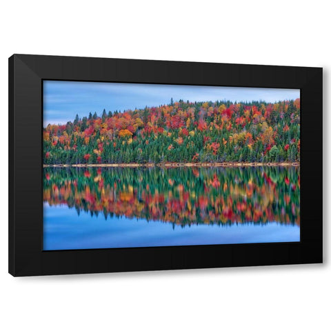 Canada-Quebec-La Mauricie National Park Autumn colors reflected in Lac Modene Black Modern Wood Framed Art Print by Jaynes Gallery