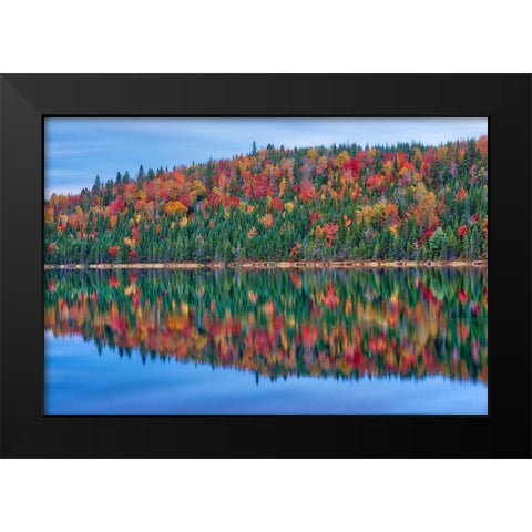 Canada-Quebec-La Mauricie National Park Autumn colors reflected in Lac Modene Black Modern Wood Framed Art Print by Jaynes Gallery