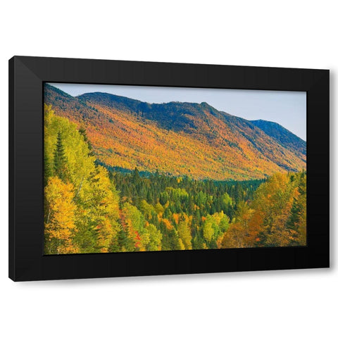Canada-Quebec-Parc National de la Gaspesie Autumn colors in Chic-Choc Mountains Black Modern Wood Framed Art Print with Double Matting by Jaynes Gallery