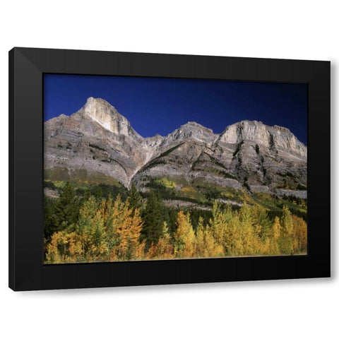 Canada, Saskatchewan, Banff NP Black Modern Wood Framed Art Print by Grandmaison, Mike