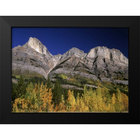 Canada, Saskatchewan, Banff NP Black Modern Wood Framed Art Print by Grandmaison, Mike