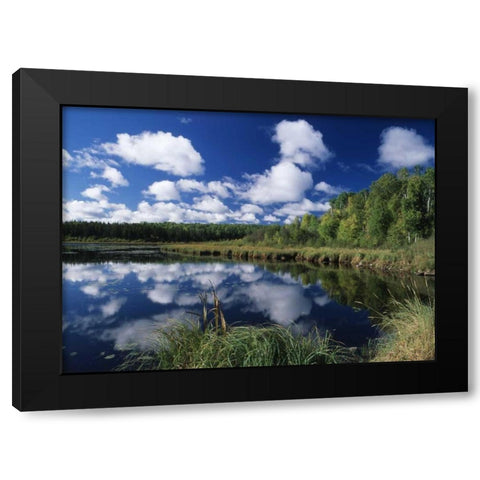Canada, Saskatchewan,Prince Albert NP, Pond Black Modern Wood Framed Art Print by Grandmaison, Mike