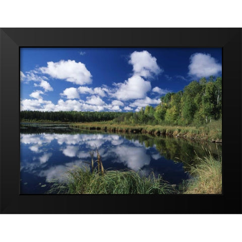 Canada, Saskatchewan,Prince Albert NP, Pond Black Modern Wood Framed Art Print by Grandmaison, Mike