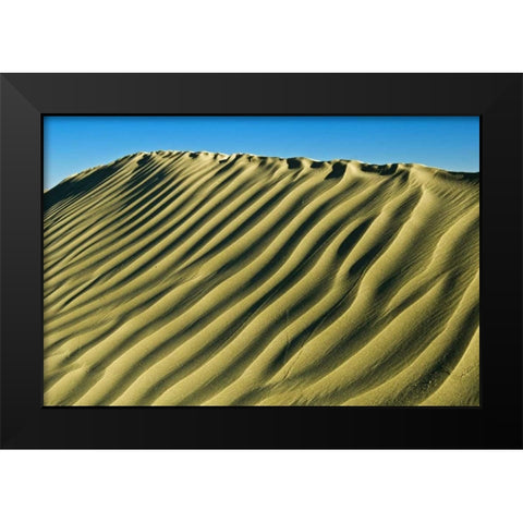 Canada, Great Sand Hills Pattern in sand dunes Black Modern Wood Framed Art Print by Grandmaison, Mike