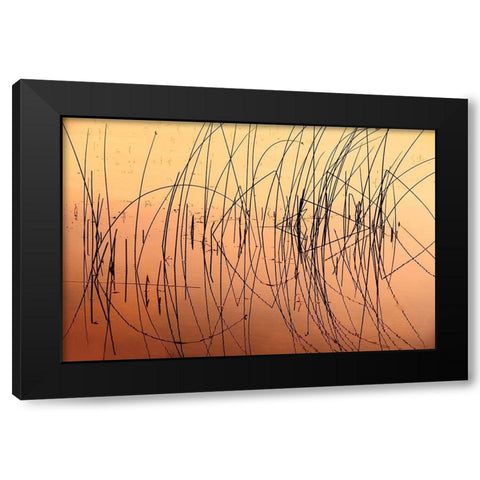 Canada-Saskatchewan-Saskatoon Island Provincial Park Reeds reflect on Saskatoon Lake at sunrise Black Modern Wood Framed Art Print by Jaynes Gallery