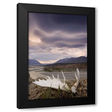 Canada, BC, Yukon, Moose antler and landscape Black Modern Wood Framed Art Print by Paulson, Don