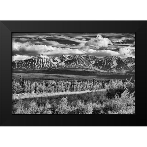 Canada-Yukon-Haines Junction St Elias Mountains landscape Black Modern Wood Framed Art Print by Jaynes Gallery