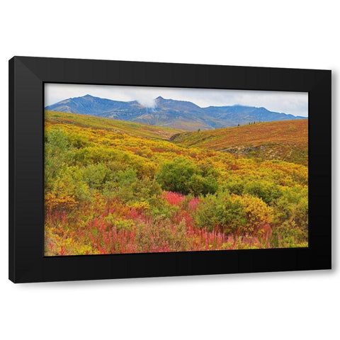 Canada-Yukon Autumn-colored hills and fog Black Modern Wood Framed Art Print by Jaynes Gallery