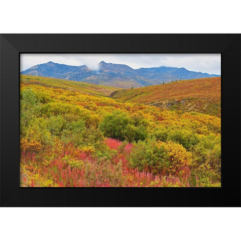Canada-Yukon Autumn-colored hills and fog Black Modern Wood Framed Art Print by Jaynes Gallery