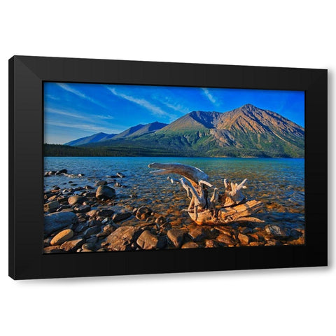 Canada-Yukon-Kluane National Park St Elias Mountains and driftwood on shore of Kathleen Lake Black Modern Wood Framed Art Print by Jaynes Gallery