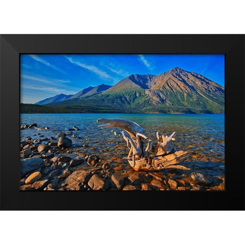 Canada-Yukon-Kluane National Park St Elias Mountains and driftwood on shore of Kathleen Lake Black Modern Wood Framed Art Print by Jaynes Gallery