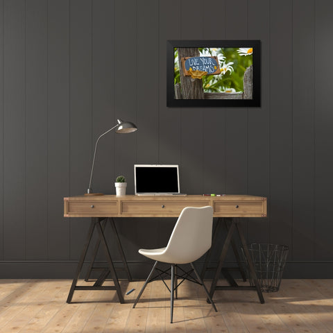 Moth on garden sign with daisies in background Black Modern Wood Framed Art Print by Rotenberg, Nancy