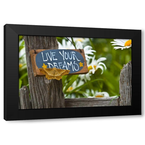 Moth on garden sign with daisies in background Black Modern Wood Framed Art Print by Rotenberg, Nancy