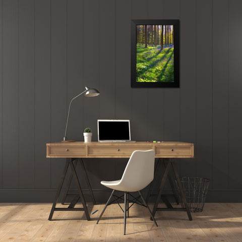 Europe-Belgium-Hallerbos forest with blooming bluebells Black Modern Wood Framed Art Print by Jaynes Gallery