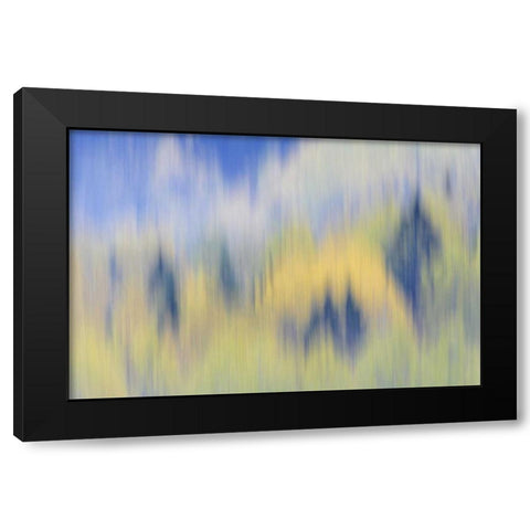 Finland, Nuuksio NP Abstract of fall color trees Black Modern Wood Framed Art Print by Morris, Arthur