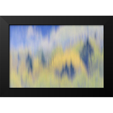 Finland, Nuuksio NP Abstract of fall color trees Black Modern Wood Framed Art Print by Morris, Arthur