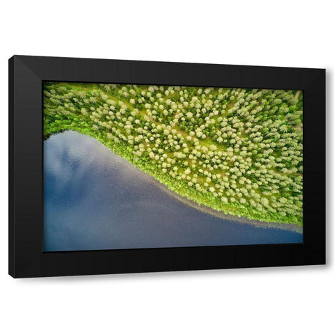 Finlandia-Savonlinna-aerial view-forest and lake Black Modern Wood Framed Art Print with Double Matting by Molinari, Michele