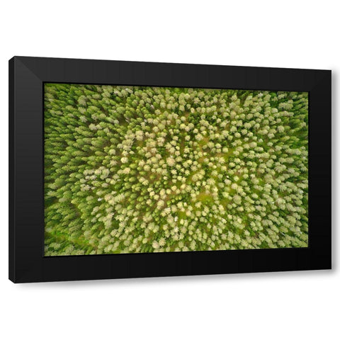 Finlandia-Savonlinna-aerial view Black Modern Wood Framed Art Print by Molinari, Michele