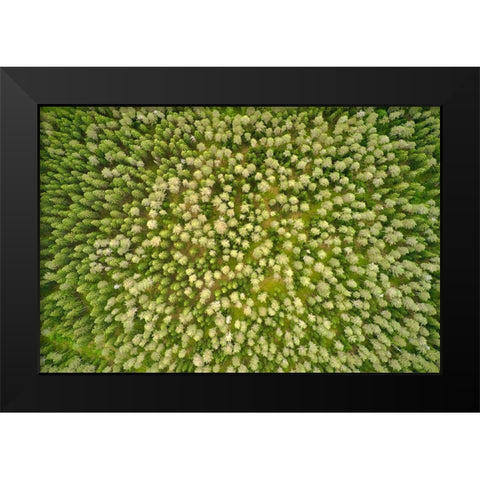 Finlandia-Savonlinna-aerial view Black Modern Wood Framed Art Print by Molinari, Michele