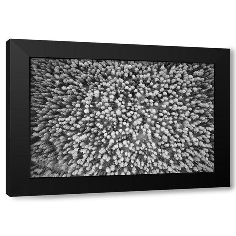 Finlandia-Savonlinna-aerial view Black Modern Wood Framed Art Print by Molinari, Michele