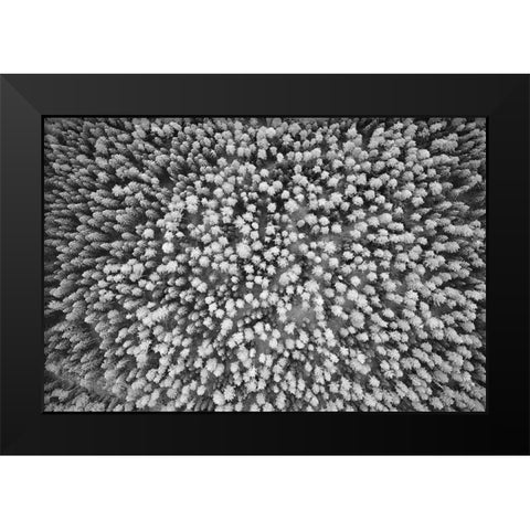 Finlandia-Savonlinna-aerial view Black Modern Wood Framed Art Print by Molinari, Michele