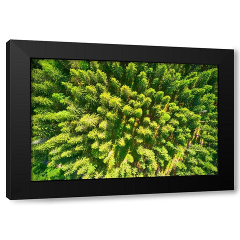 Finlandia-Savonlinna-aerial view Black Modern Wood Framed Art Print by Molinari, Michele