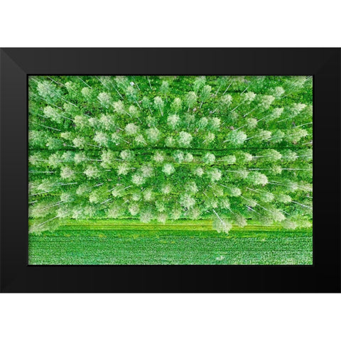 Finlandia-Savonlinna-forest Black Modern Wood Framed Art Print by Molinari, Michele