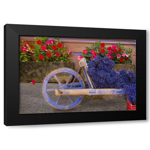 France, Provence, Sault Cart with fresh lavender Black Modern Wood Framed Art Print with Double Matting by Zuckerman, Jim