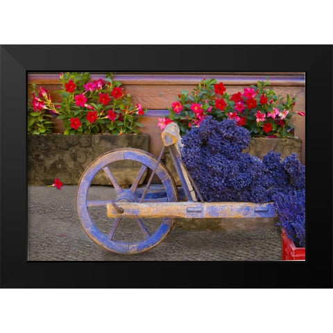 France, Provence, Sault Cart with fresh lavender Black Modern Wood Framed Art Print by Zuckerman, Jim