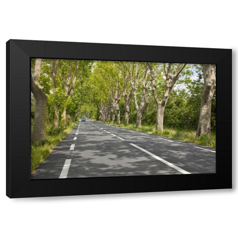 France, Provence Cars on tree-lined street Black Modern Wood Framed Art Print with Double Matting by Lord, Fred