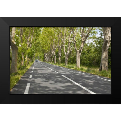 France, Provence Cars on tree-lined street Black Modern Wood Framed Art Print by Lord, Fred