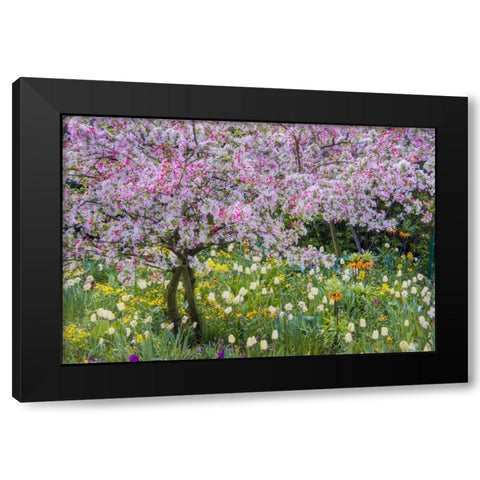 France, Giverny spring in Claude Monets garden Black Modern Wood Framed Art Print with Double Matting by Needle, Charles