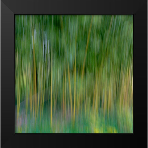 France-Giverny Abstract of bamboo forest in Monets Garden  Black Modern Wood Framed Art Print by Jaynes Gallery