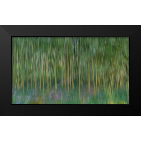 France-Giverny Abstract of bamboo forest in Monets Garden  Black Modern Wood Framed Art Print by Jaynes Gallery