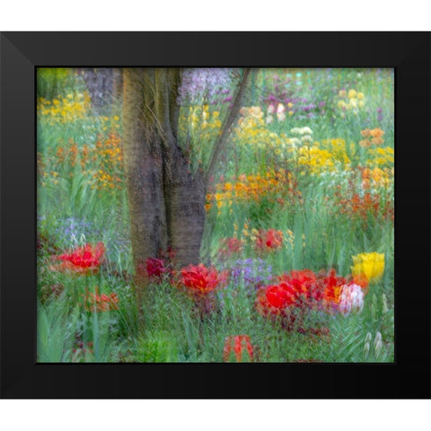 France-Giverny Impression of flowers in Monets Garden  Black Modern Wood Framed Art Print by Jaynes Gallery