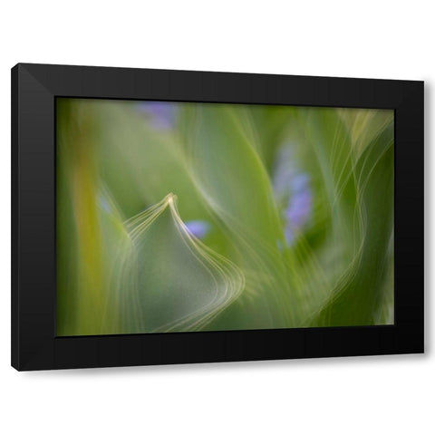 France-Giverny Abstract of green leaves  Black Modern Wood Framed Art Print by Jaynes Gallery