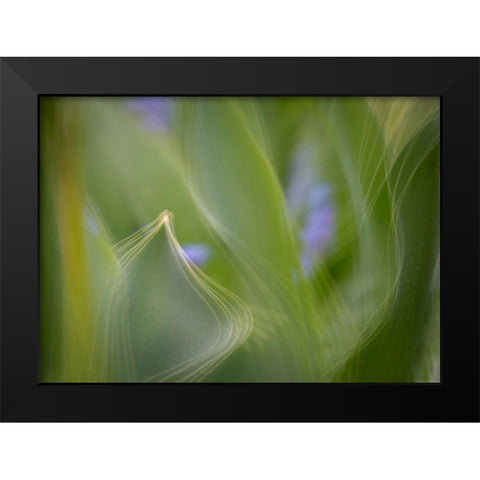 France-Giverny Abstract of green leaves  Black Modern Wood Framed Art Print by Jaynes Gallery
